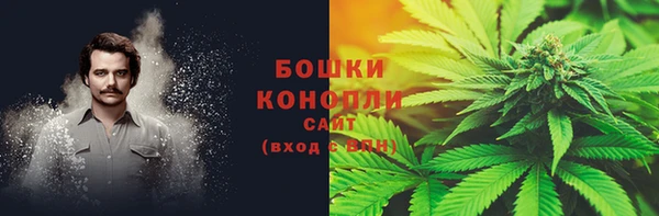 сатива Магас