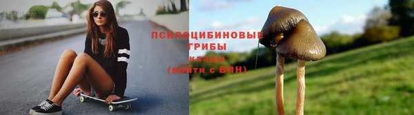 сатива Магас