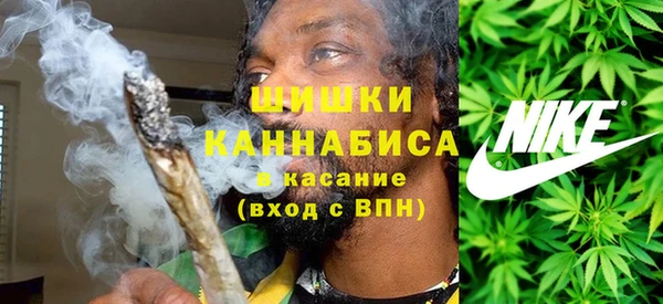 сатива Магас