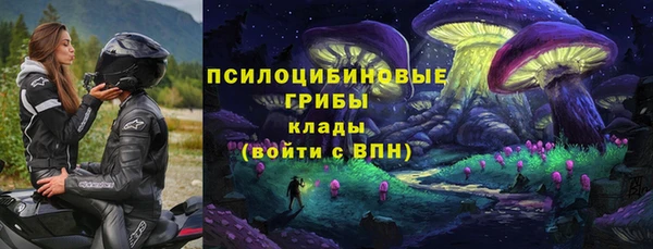 PSILOCYBIN Магадан
