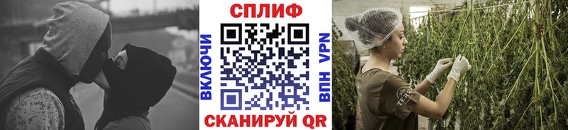 mega ONION  Нерчинск  МАРИХУАНА семена 
